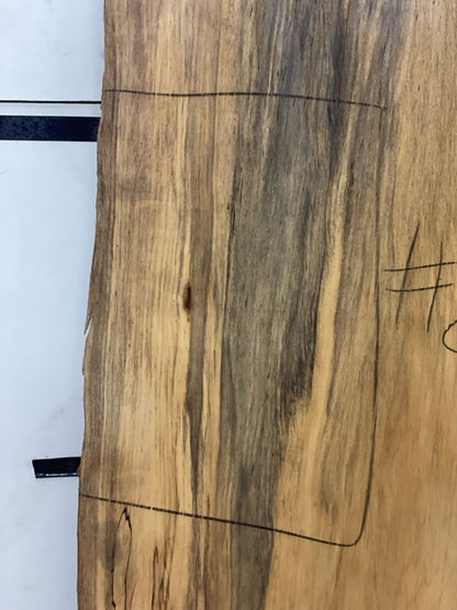 Blackgum Slab #2324