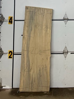 Blackgum Slab #2324