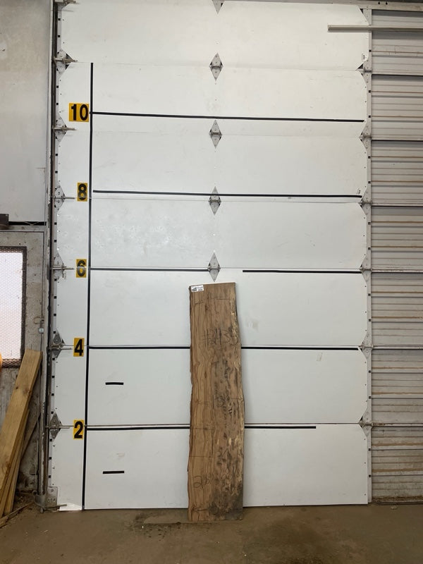 Sweetgum Slab #2435