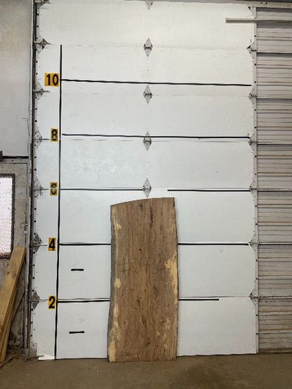 Sweetgum Slab #2436