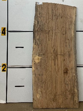 Sweetgum Slab #2436