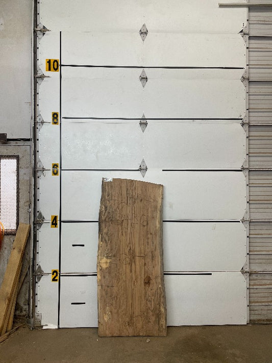 Sweetgum Slab #2436