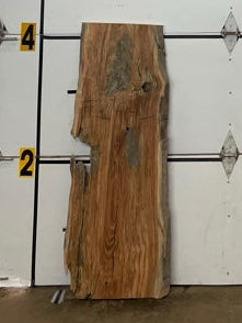 Honey Locust Slab #2441