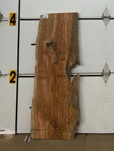 Honey Locust Slab #2441