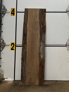 Walnut Slab #2494