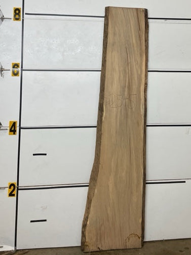 Redgum Slab #2545
