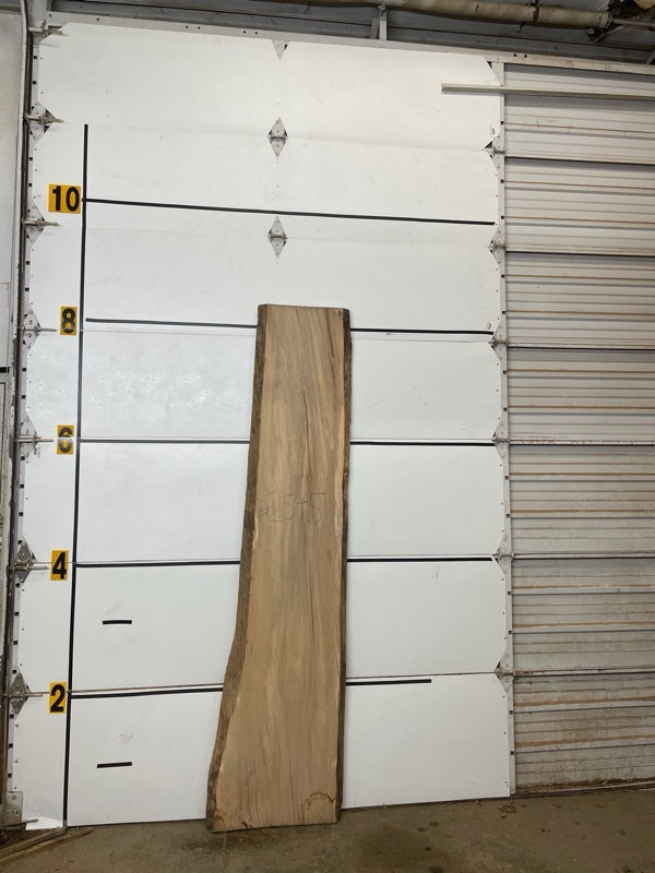Redgum Slab #2545