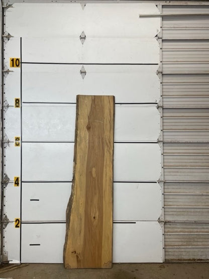 Redgum Slab #2546