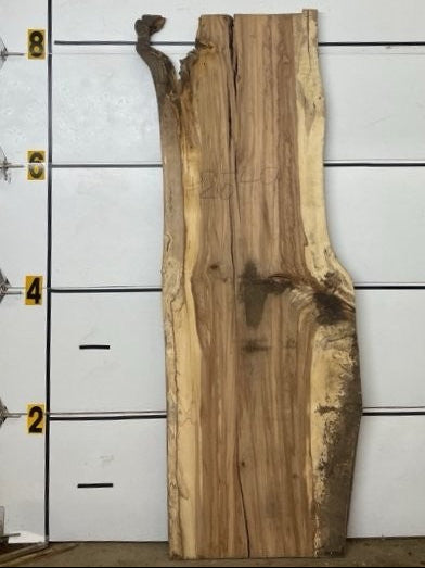 Redgum Slab #2549