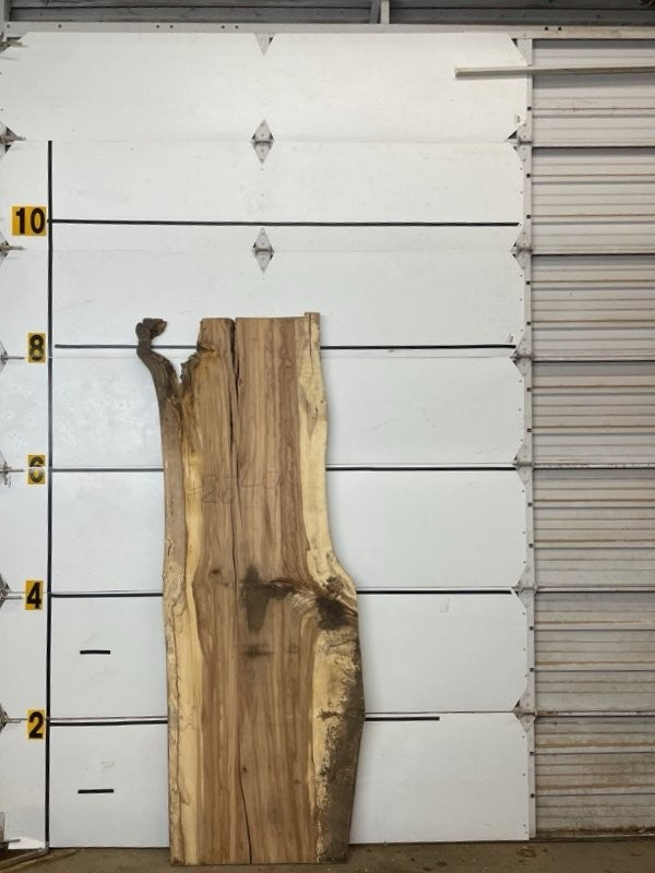 Redgum Slab #2549