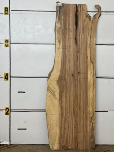 Redgum Slab #2549