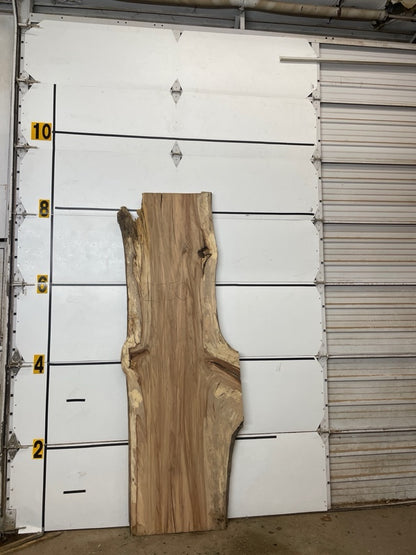 Redgum Slab #2550