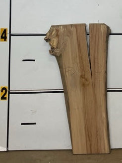 Elm Slab #2855