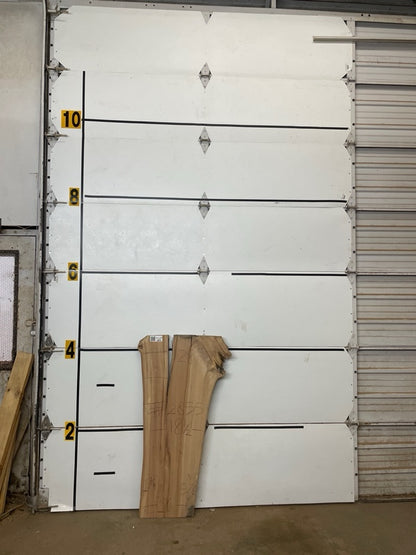 Elm Slab #2855
