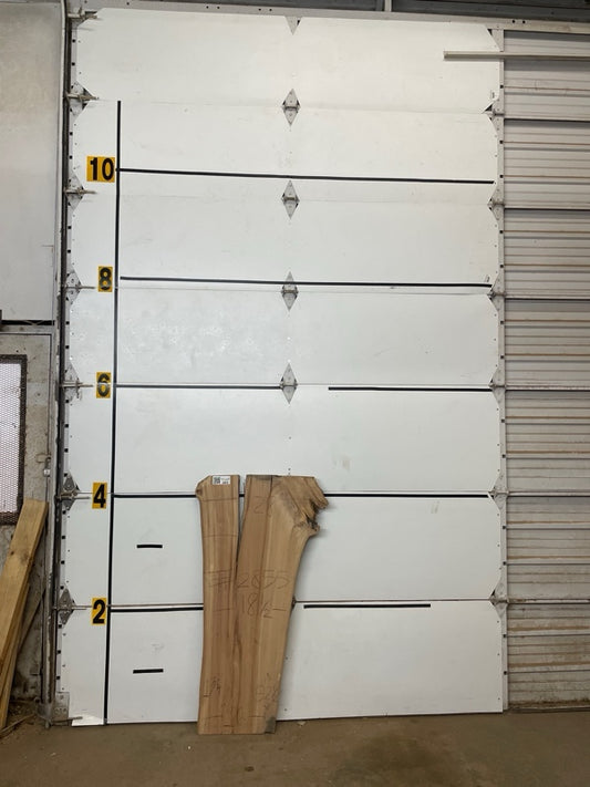 Elm Slab #2855