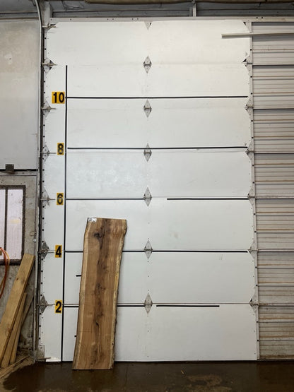 Black Locust Slab #2868