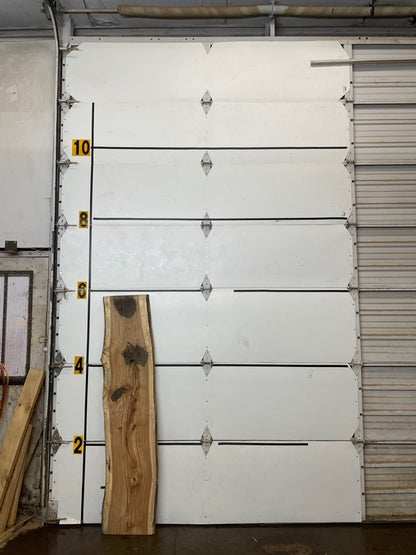 Black Locust Slab #2869