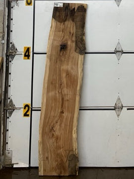 Black Locust Slab #2869