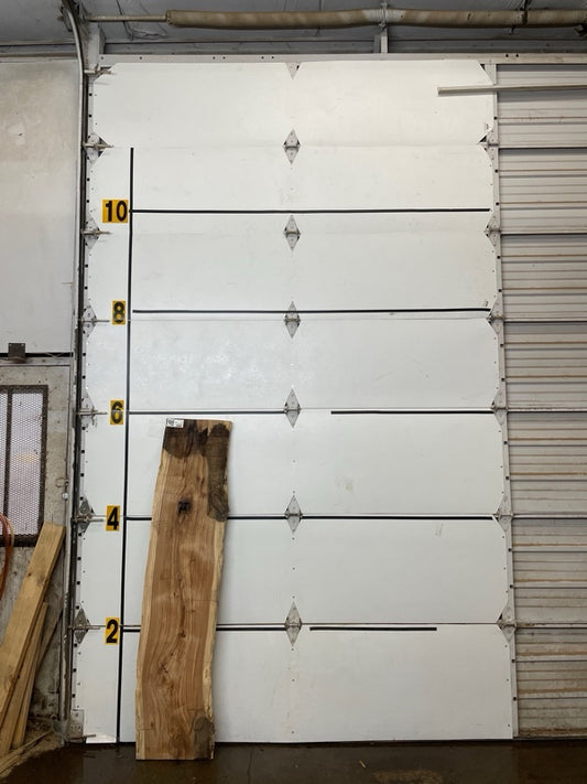 Black Locust Slab #2869