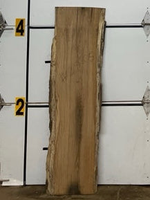White Oak Slab #2886