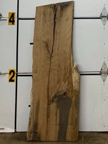 White Oak Slab #2889