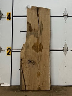 White Oak Slab #2889