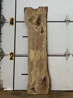Sycamore Slab #2892