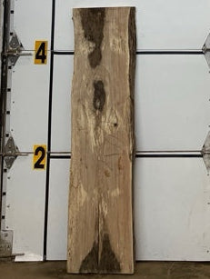 Sycamore Slab #2893