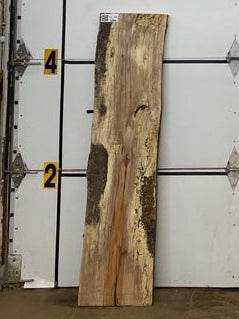 Sycamore Slab #2893