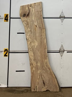 Sycamore Slab #2894