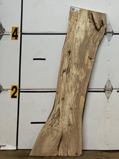 Sycamore Slab #2894