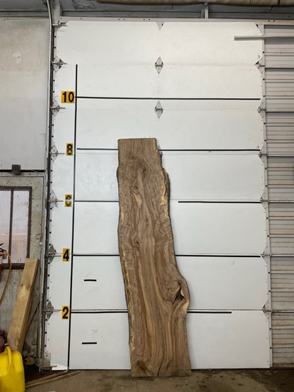 Redgum Slab #2896