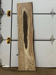 White Oak Slab #2899