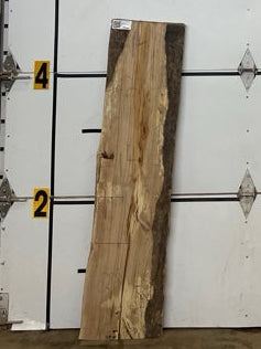 White Oak Slab #2899