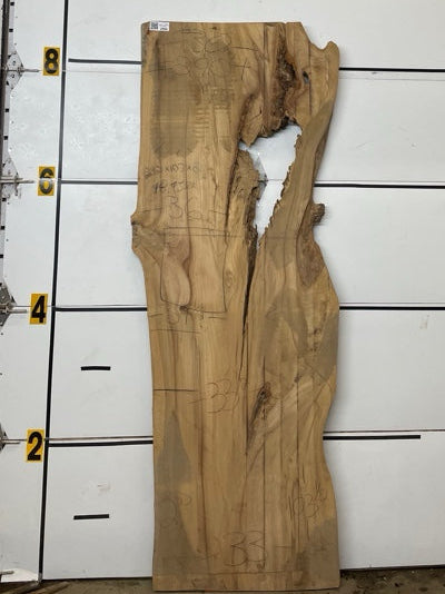 Elm Slab #2904