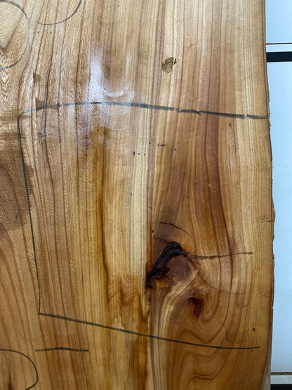 Elm Slab #2905