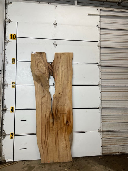 Elm Slab #2905