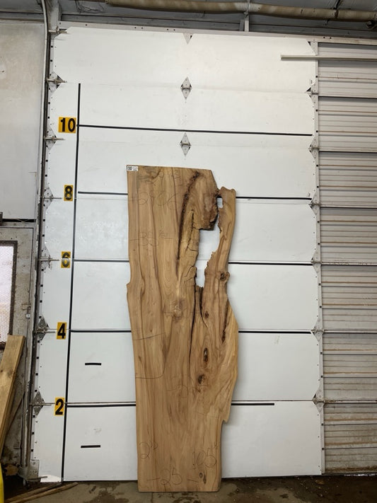 Elm Slab #2906