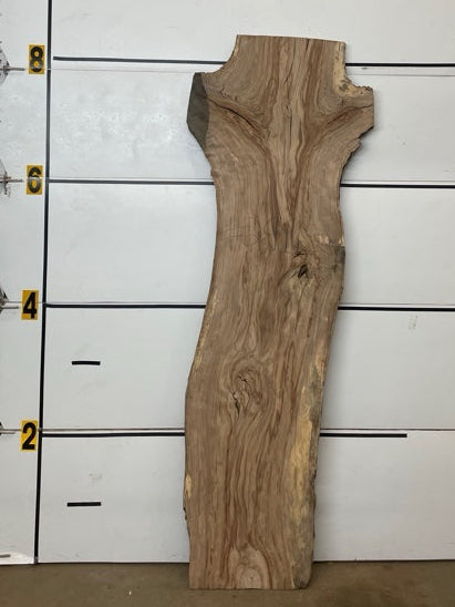 Redgum Slab #2911