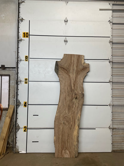 Redgum Slab #2911