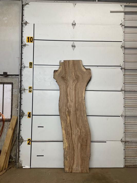 Redgum Slab #2911