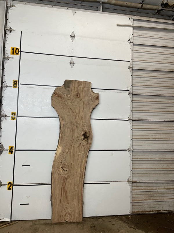 Redgum Slab #2912