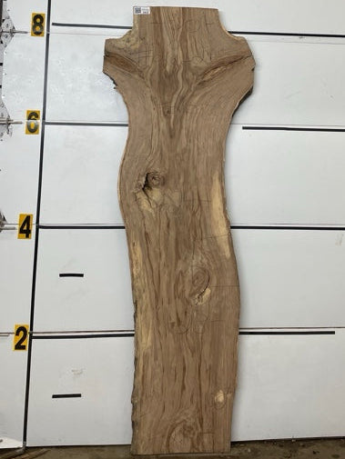 Redgum Slab #2912