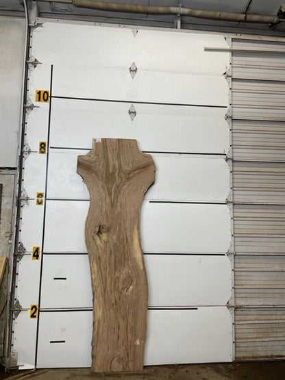 Redgum Slab #2912