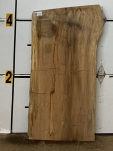 Sycamore Slab #2915