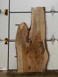 Pecan Slab #2944