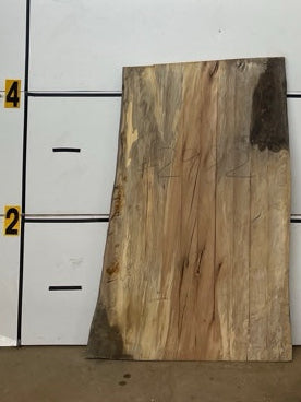 Sycamore Slab #2982