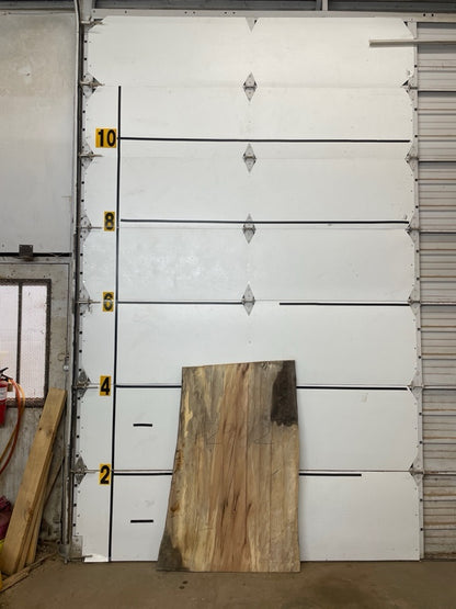 Sycamore Slab #2982