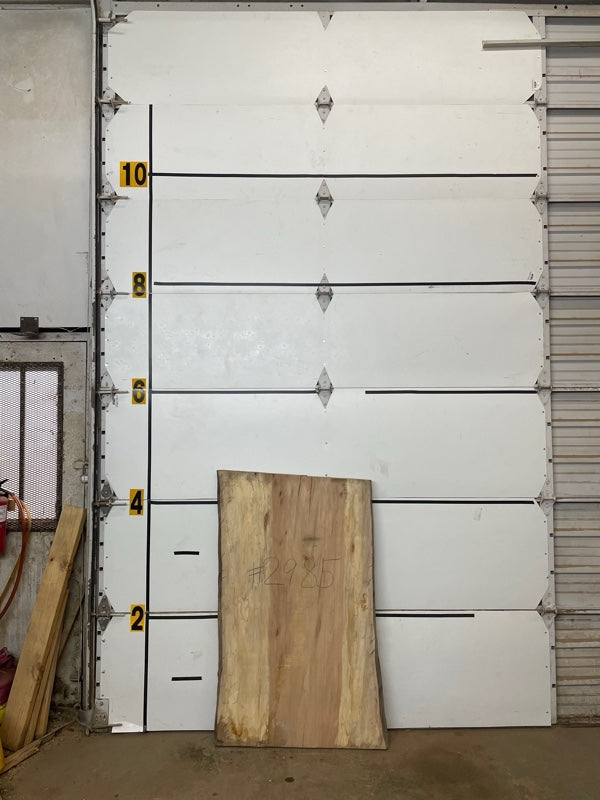 Sycamore Slab #2985