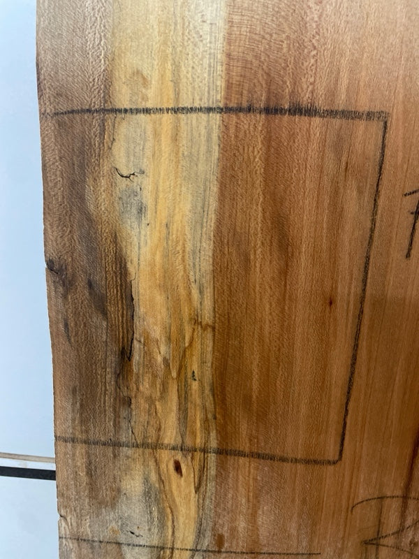 Sycamore Slab #2985